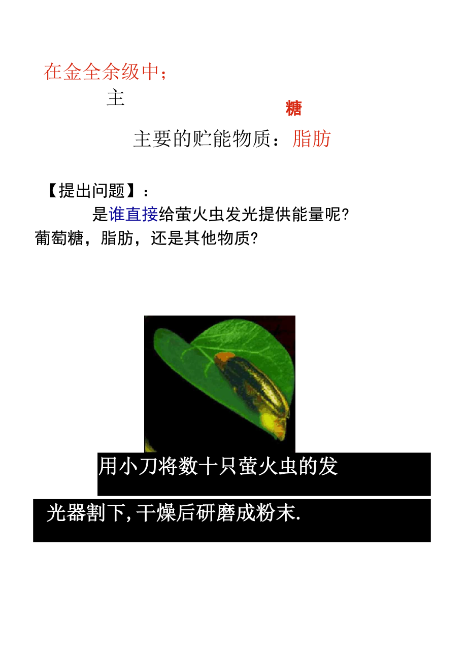 细胞的能量通货――ATP公开课课件要点.docx_第2页