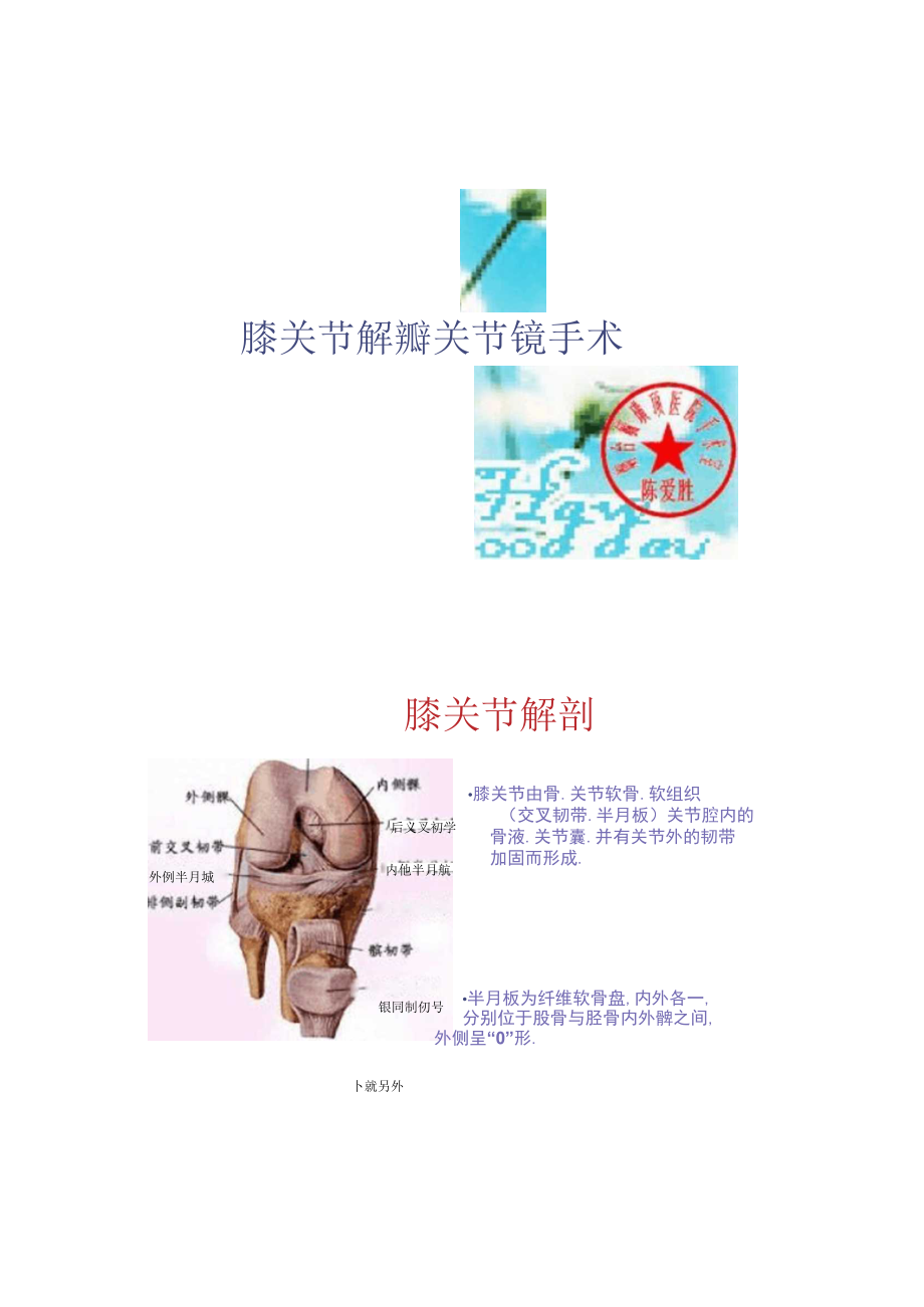 膝关节解剖及关节镜手术概要.docx_第1页