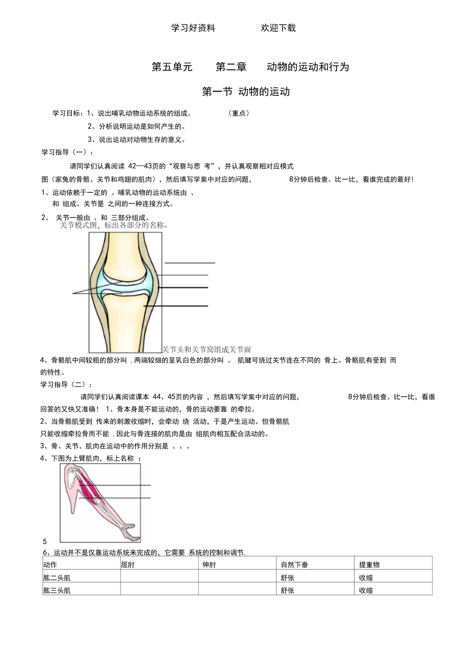 八年级生物上册第一节动物的运动导学案新人教版.docx_第1页