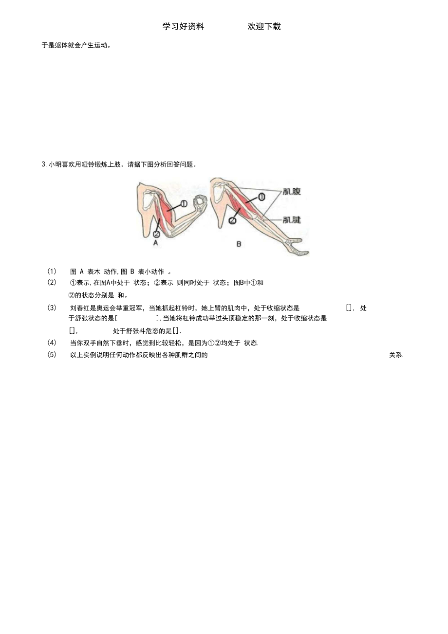 八年级生物上册第一节动物的运动导学案新人教版.docx_第3页