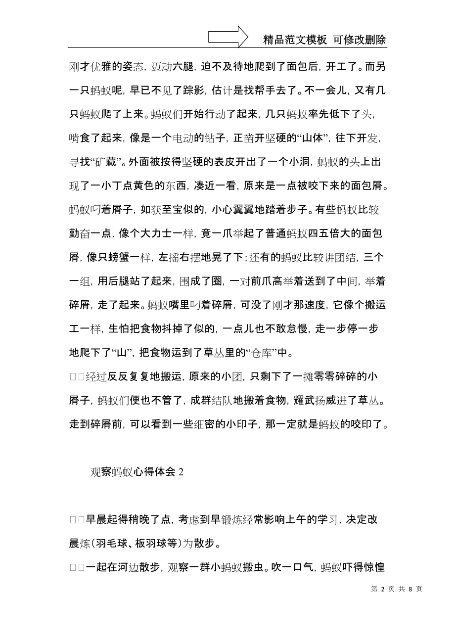 观察蚂蚁心得体会.docx_第2页