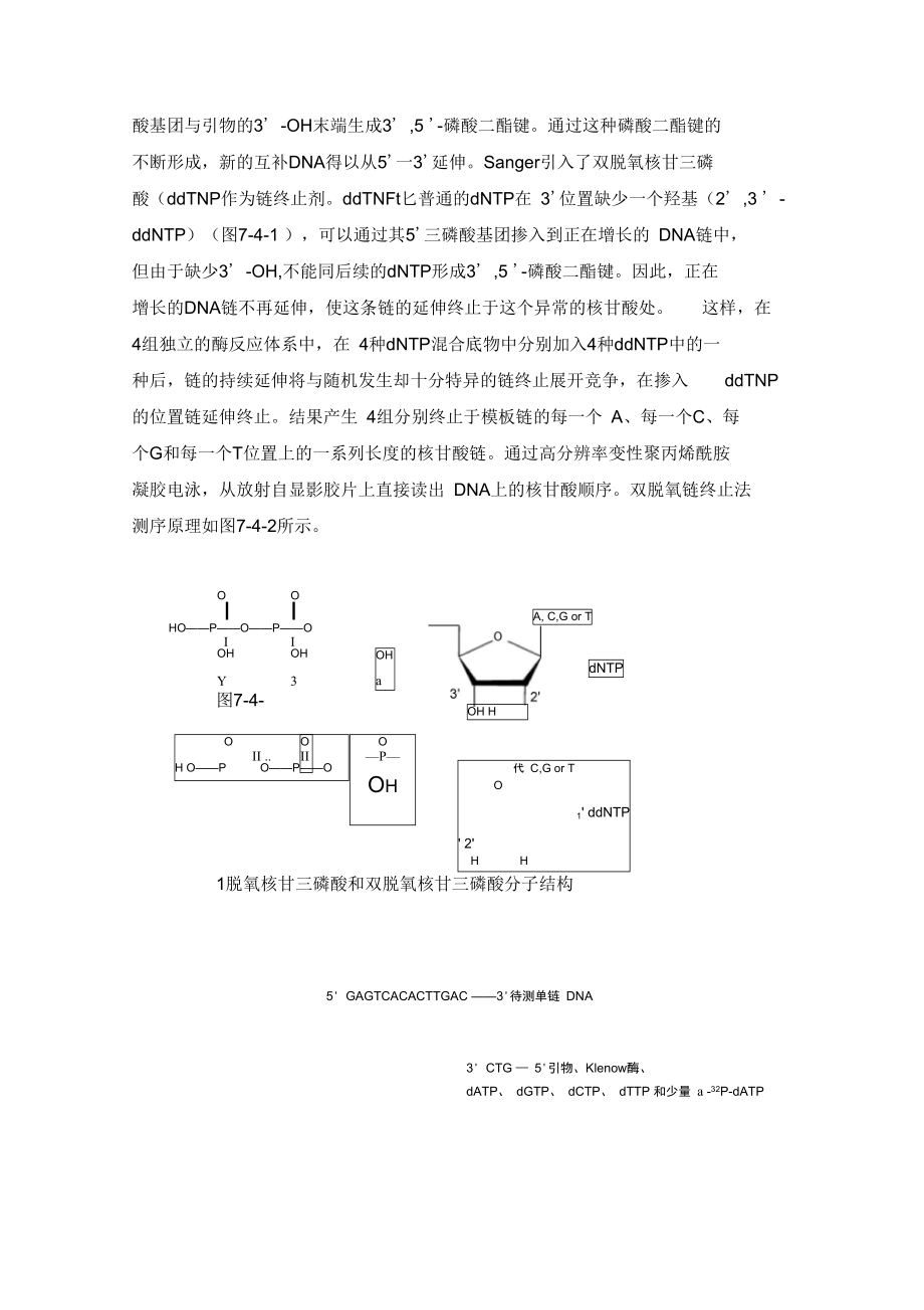 双脱氧末端终止法测序全解.doc_第2页