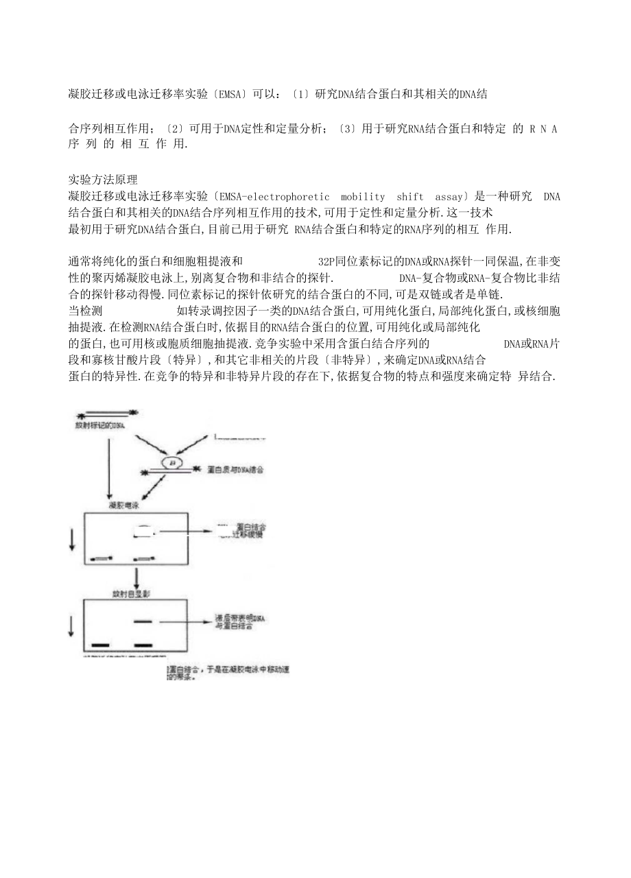 EMSA原理流程.docx_第1页