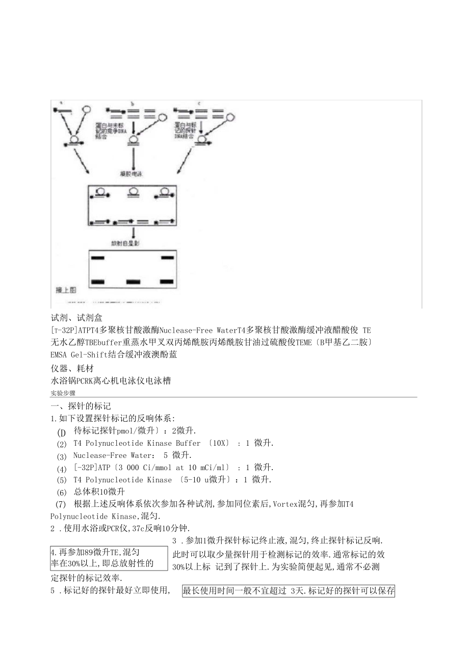 EMSA原理流程.docx_第2页