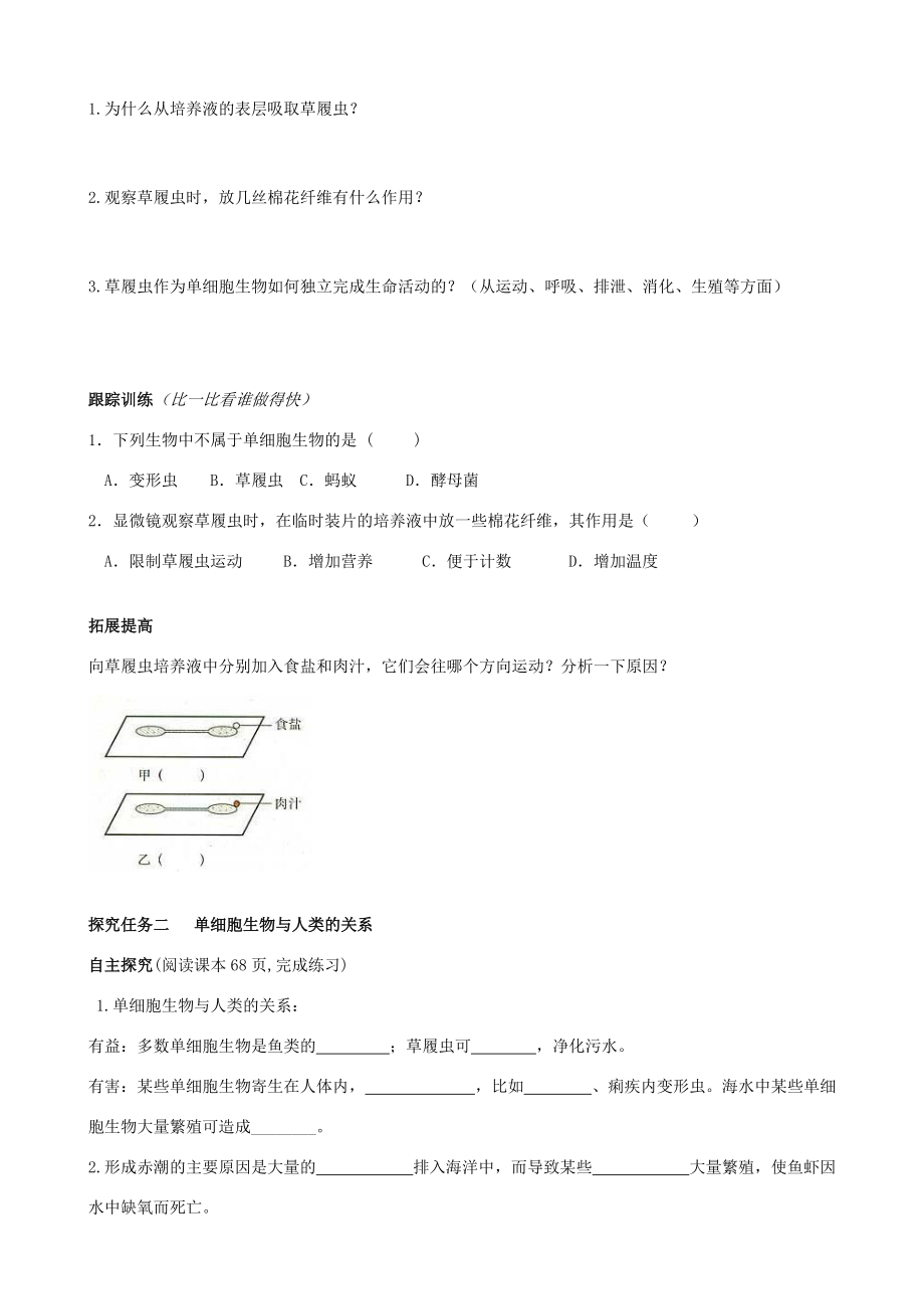 七年级生物上册 2.2.4 单细胞生物学案（无答案）（新版）新人教版.doc_第2页