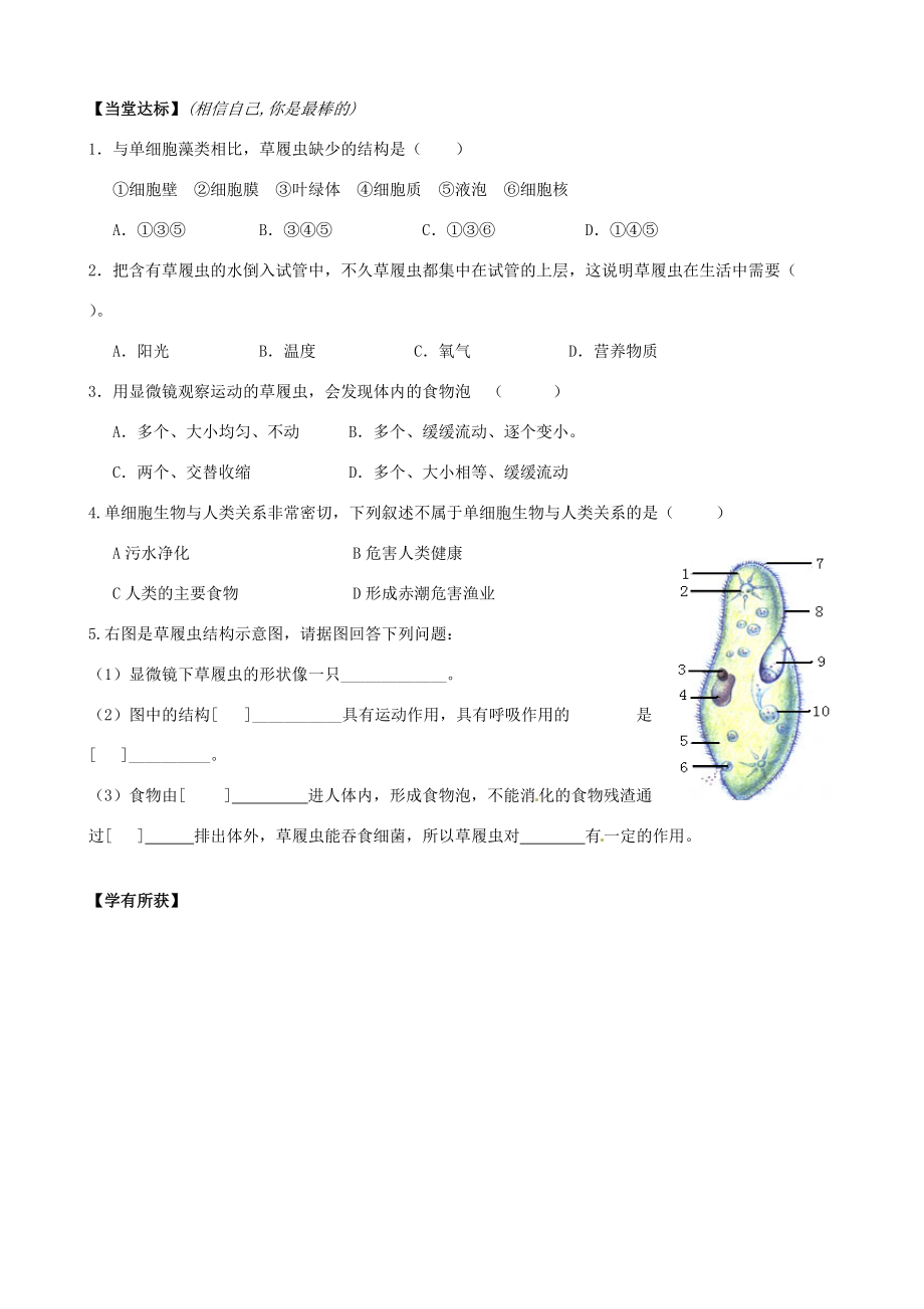 七年级生物上册 2.2.4 单细胞生物学案（无答案）（新版）新人教版.doc_第3页