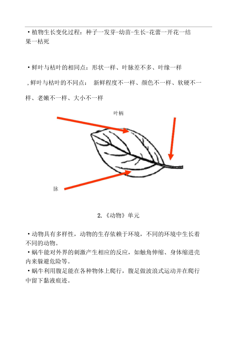 教科版三年级上册《科学》知识整理.docx_第3页