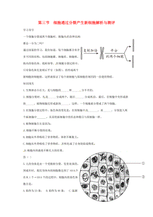 七年级生物上册第三节　细胞通过分裂产生新细胞解析与测评教案人教版.doc