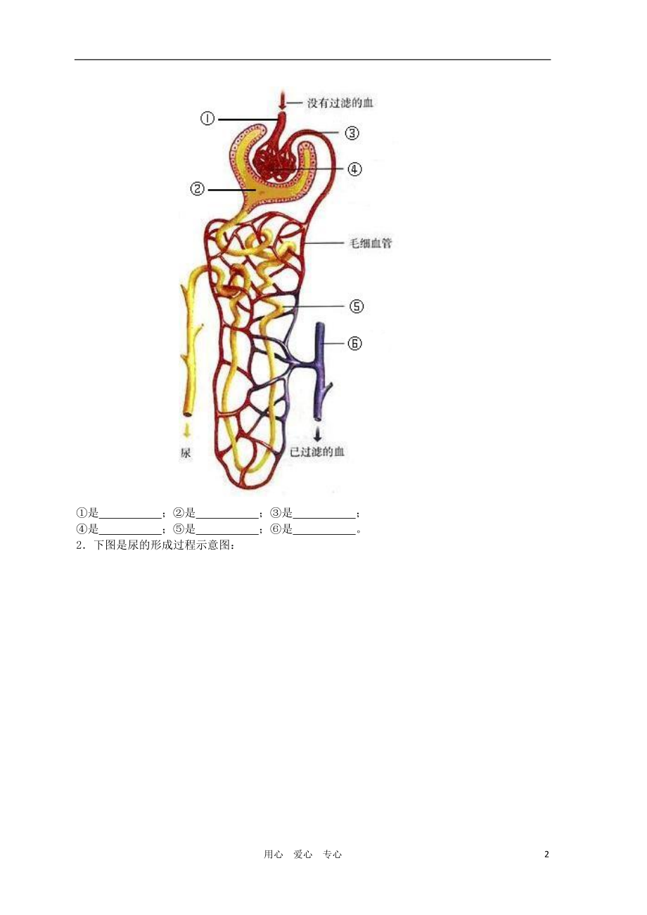 河南省焦作市修武县西村一中七年级生物 第5章复习题.doc_第2页