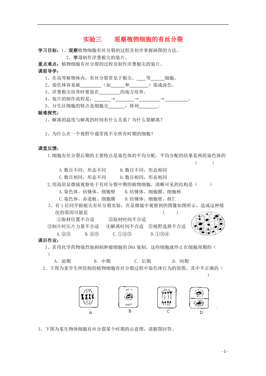 广西平南县中学高一生物 实验三《观察植物细胞的有丝分裂》学案.doc_第1页