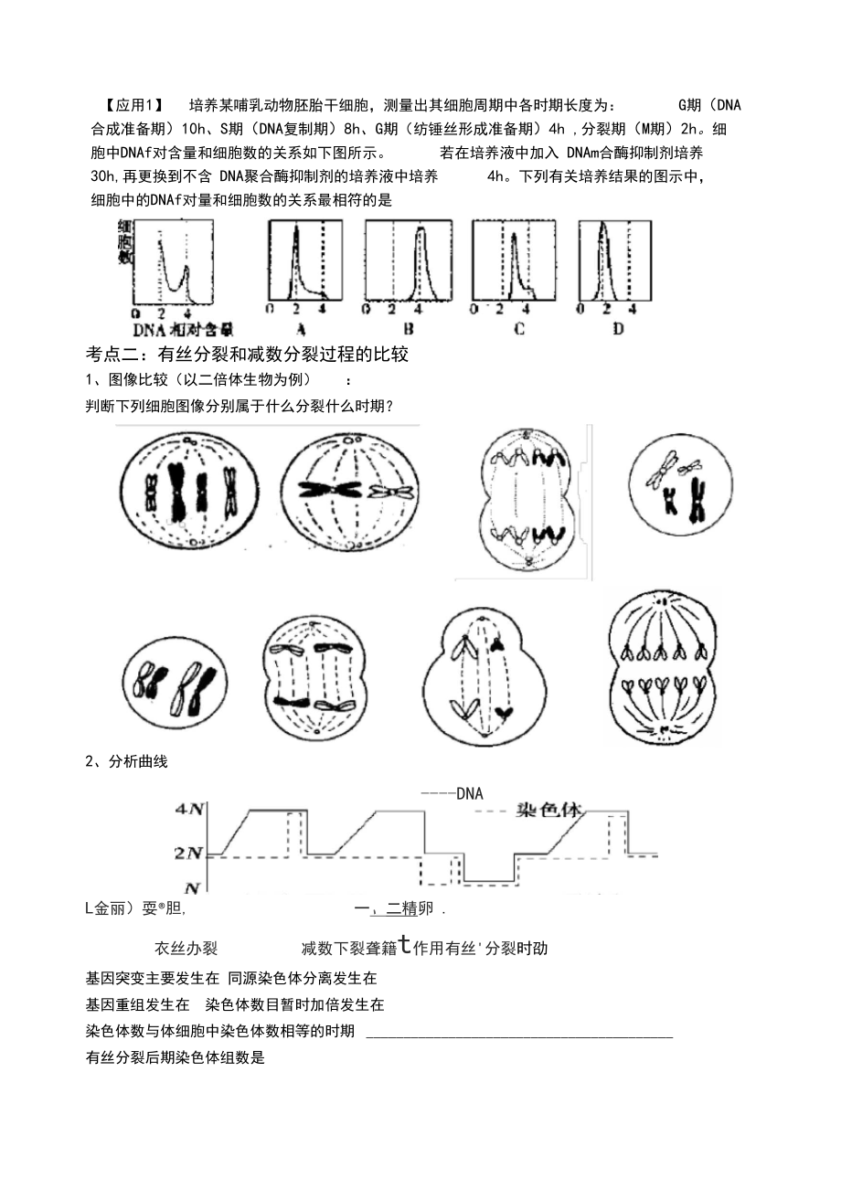 有丝分裂与减数分裂-二轮复习.docx_第3页