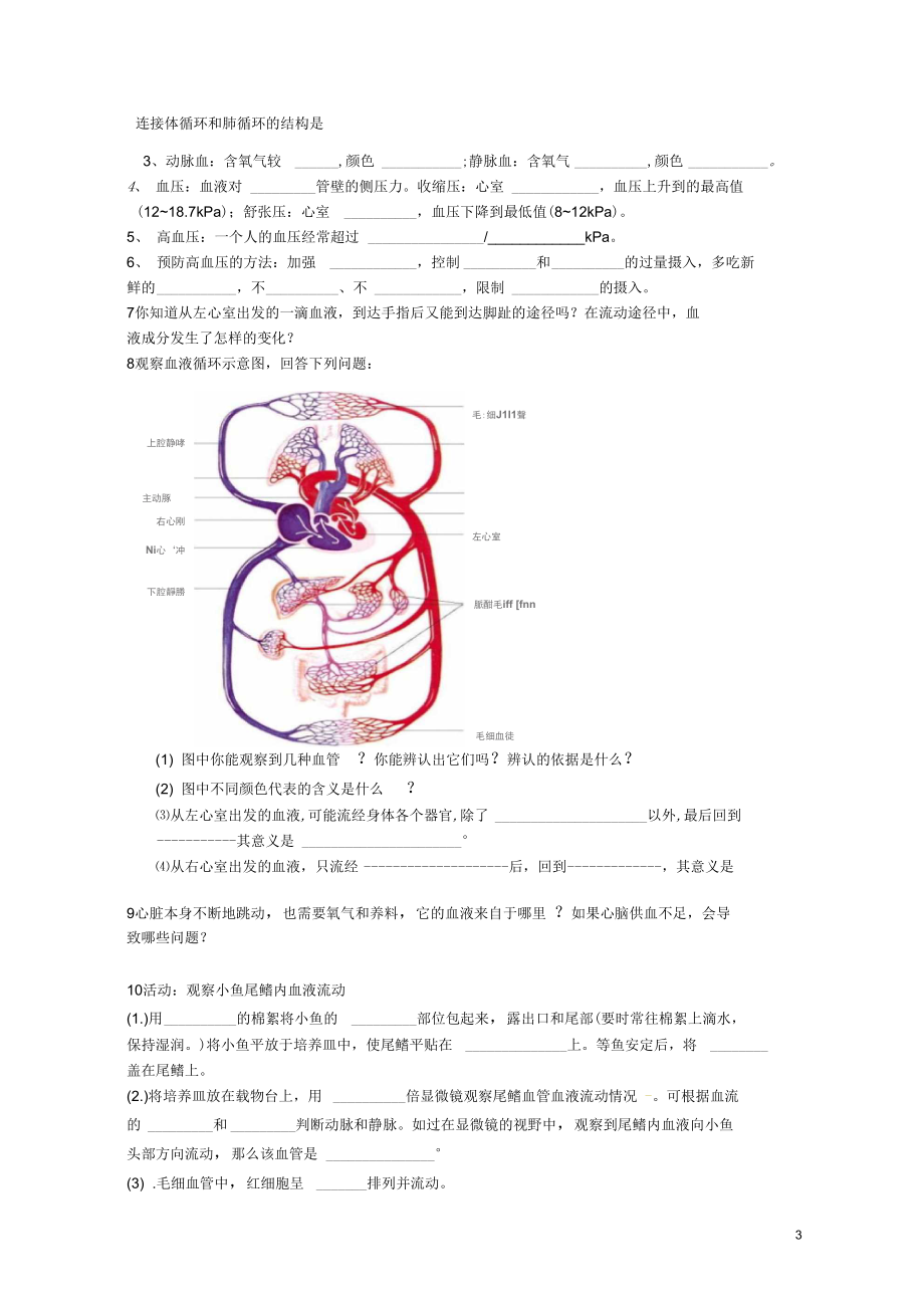 92血液循环教学导学案北师大版.docx_第3页