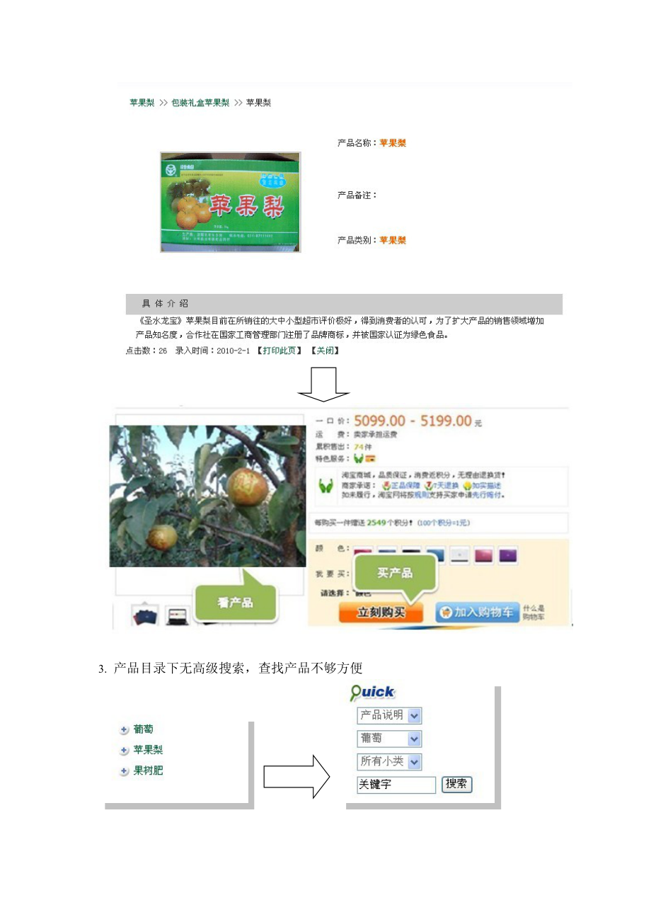 网站诊断分析报告样本.docx_第3页