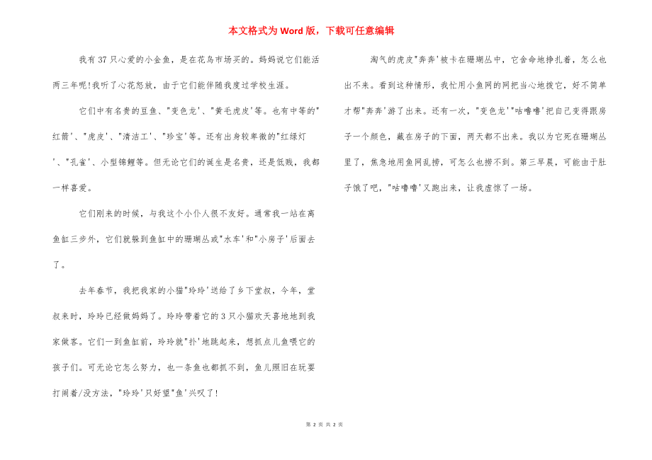 观察小金鱼500字日记_饲养小金鱼的观察记录.docx_第2页