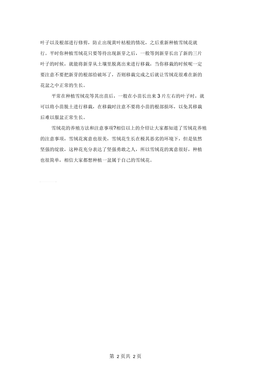 雪绒花的养殖方法和注意事项,学会这几招轻松养殖雪绒花.docx_第2页