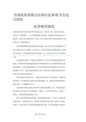 雪绒花的养殖方法和注意事项,学会这几招轻松养殖雪绒花.docx