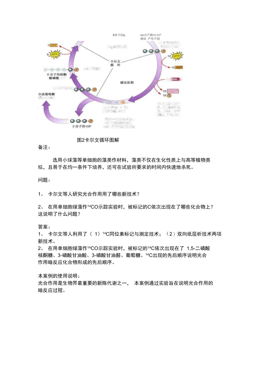 卡尔文循环的发现.doc_第2页