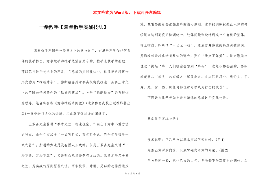 一拳散手【意拳散手实战技法】.docx_第1页