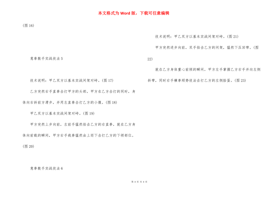 一拳散手【意拳散手实战技法】.docx_第3页