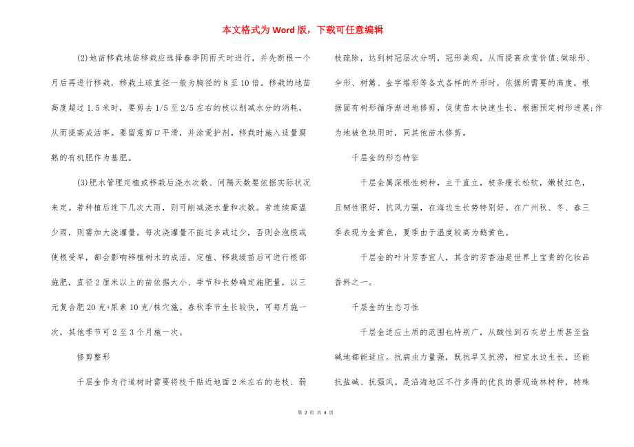 【千层金怎么养千层金的用途作用】千层金树养殖.docx_第2页