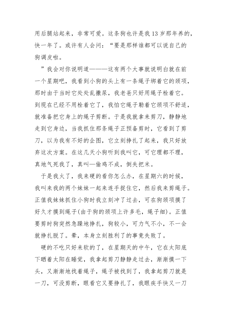 关于狗狗感人事迹材料700字左右.docx_第3页