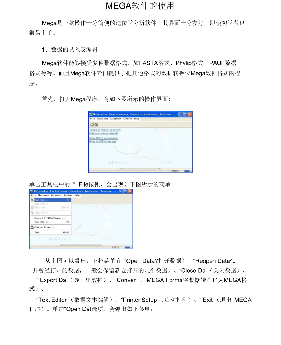 MEGA软件的使用.docx_第1页