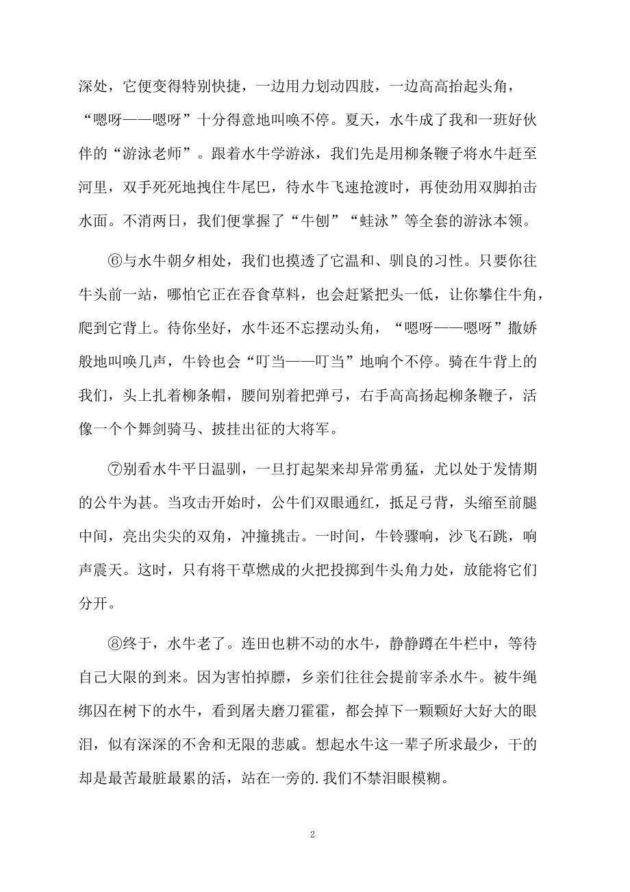 牛铃叮当阅读试题.docx_第2页