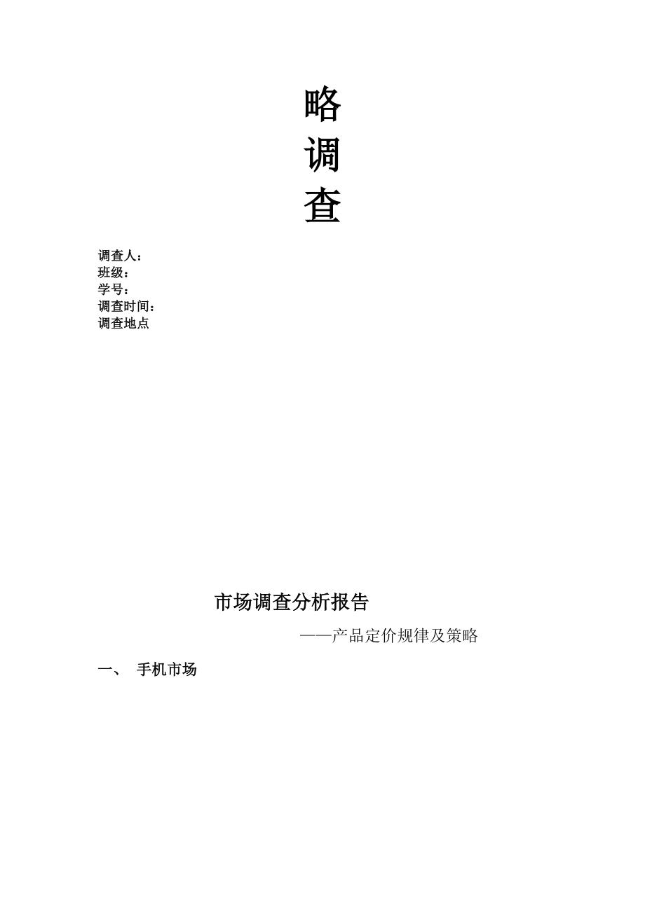 市场调查分析报告范本.docx_第2页