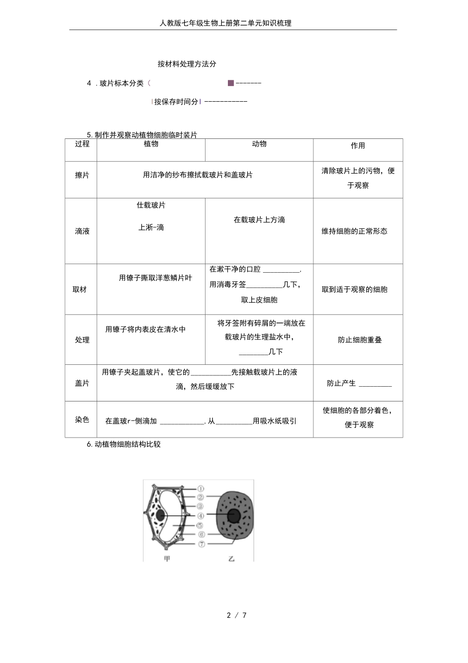 人教版七年级生物上册第二单元知识梳理.docx_第2页