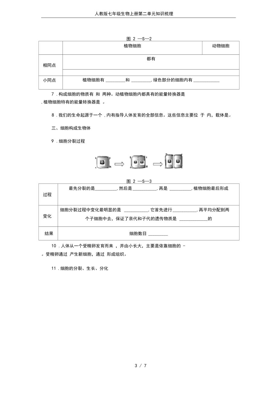 人教版七年级生物上册第二单元知识梳理.docx_第3页