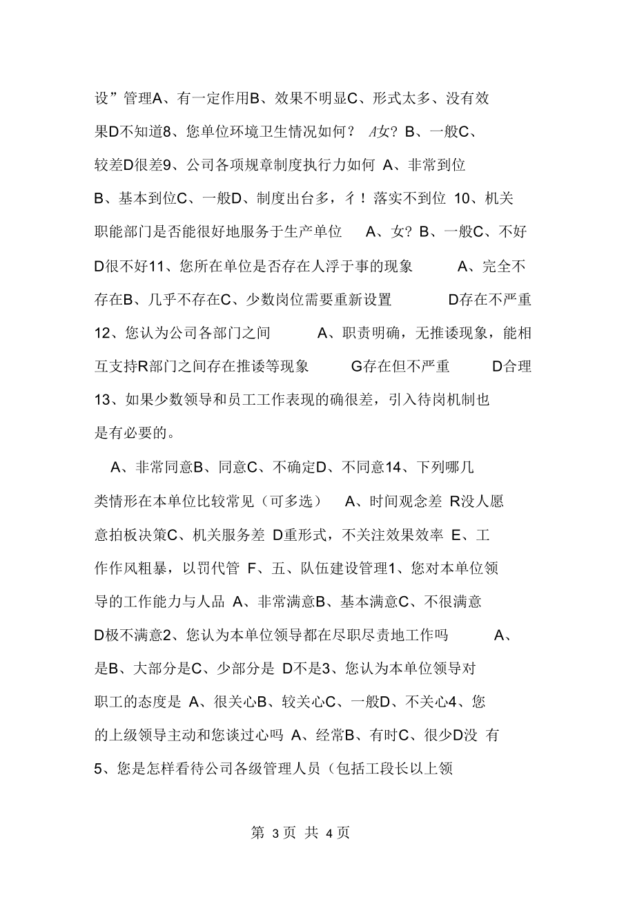 公司管理调查问卷.docx_第3页