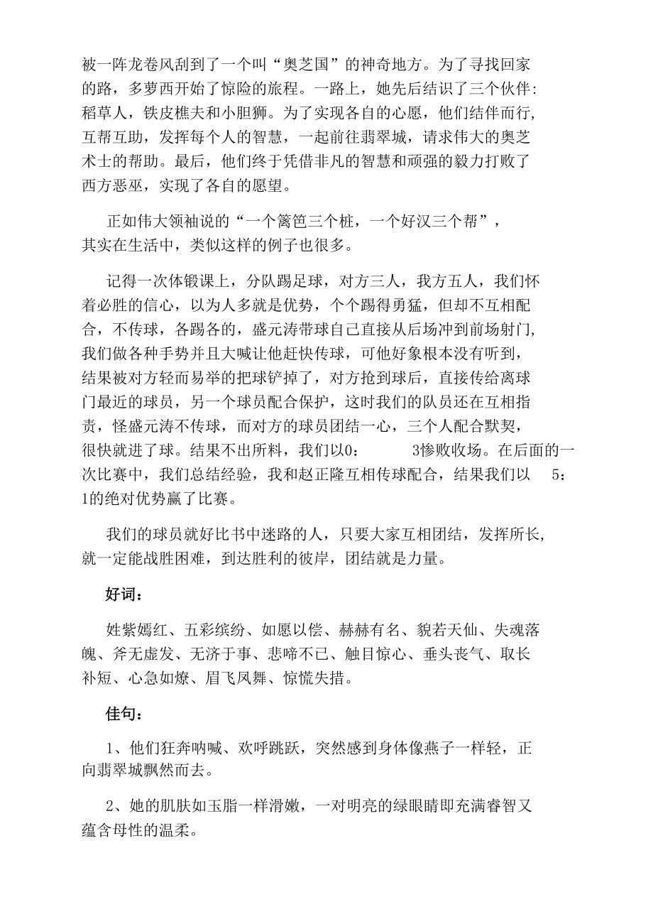 绿野仙踪读书笔记.docx_第2页