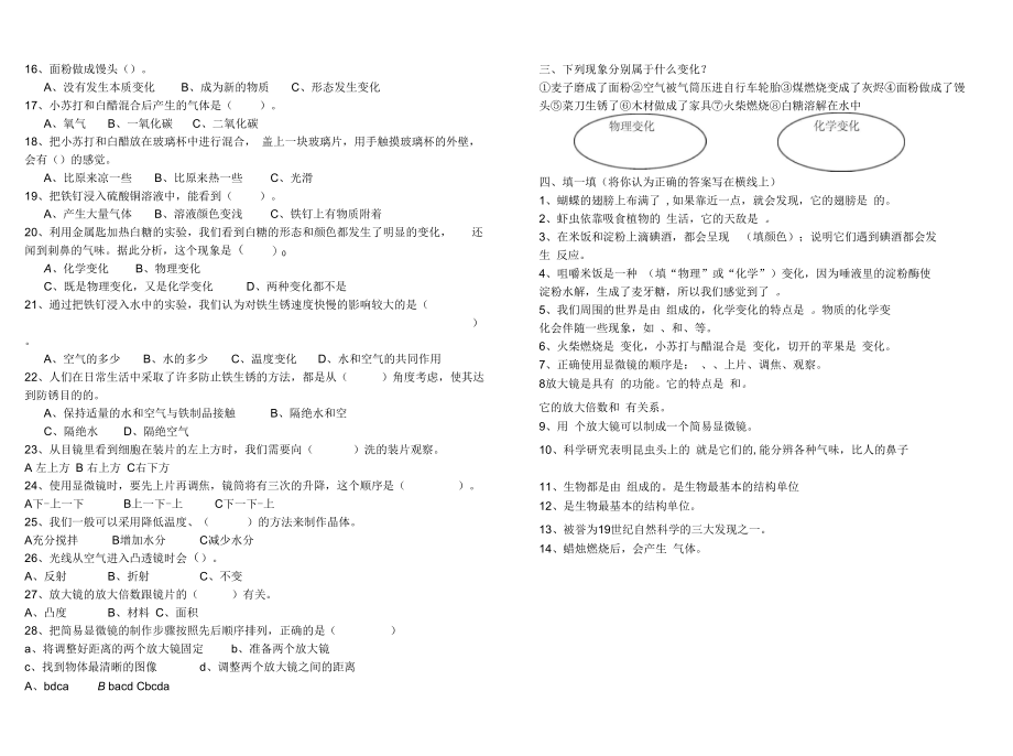 六年级下册科学半期考试.docx_第3页