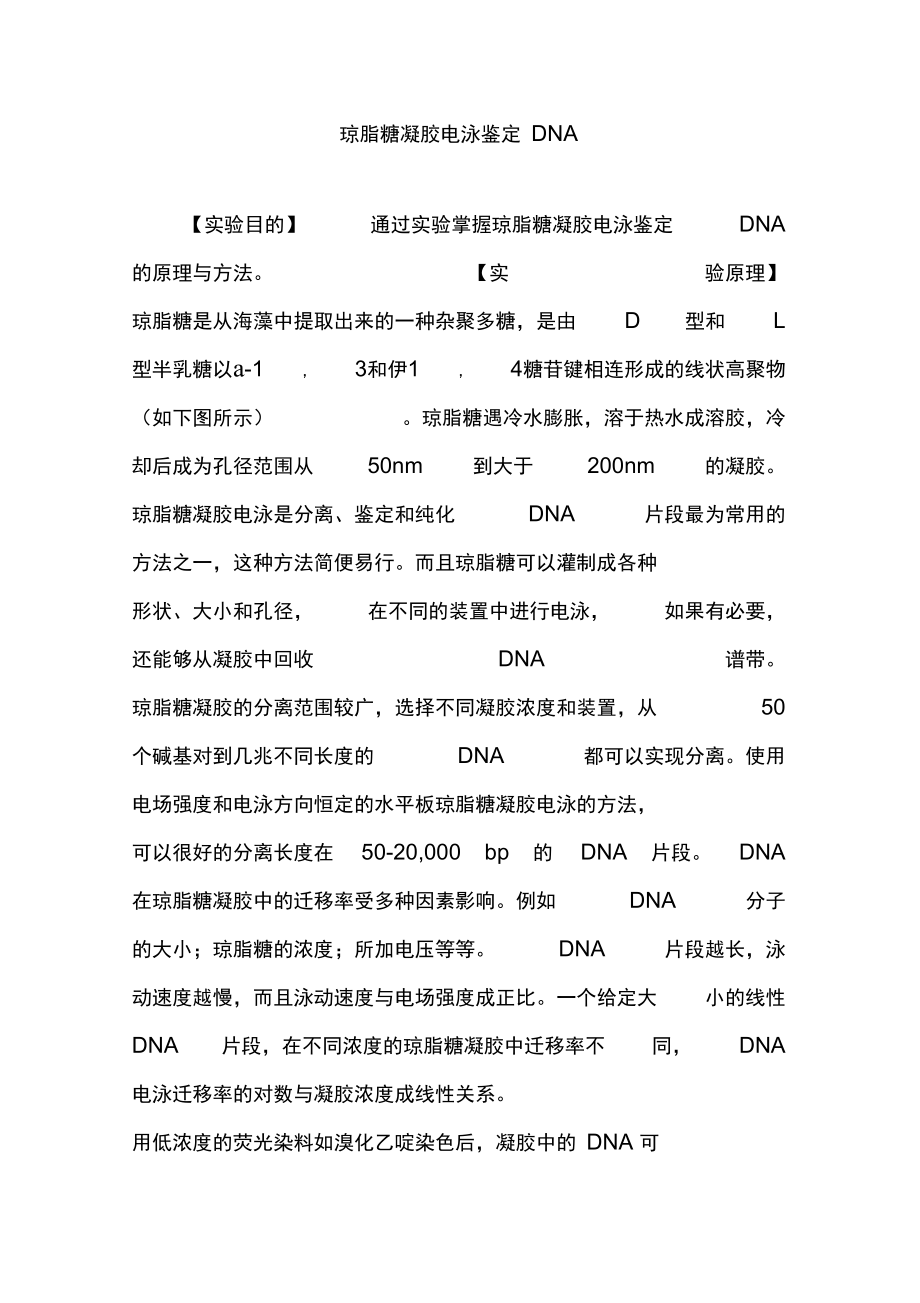 琼脂糖凝胶电泳鉴定DNA.doc_第1页