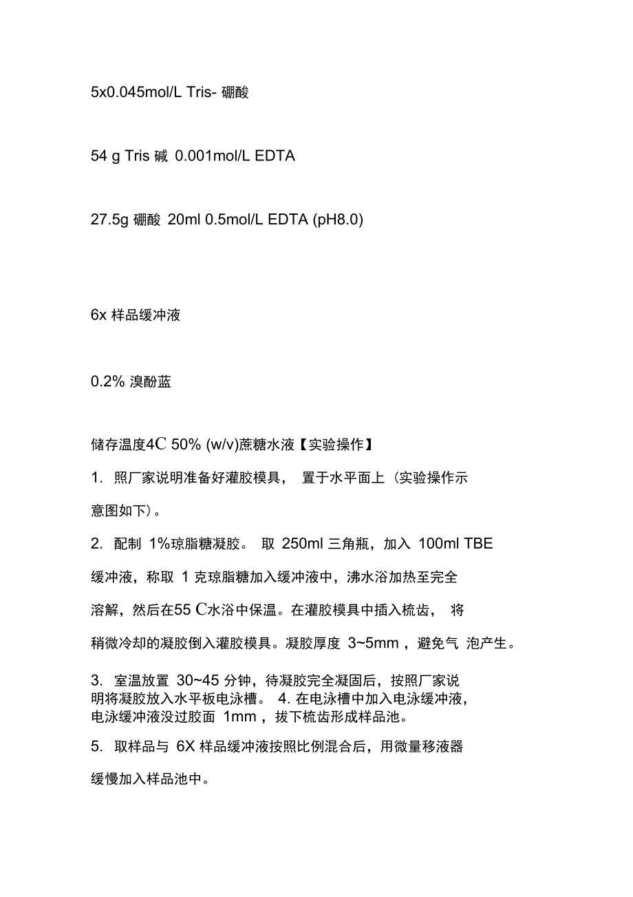 琼脂糖凝胶电泳鉴定DNA.doc_第3页