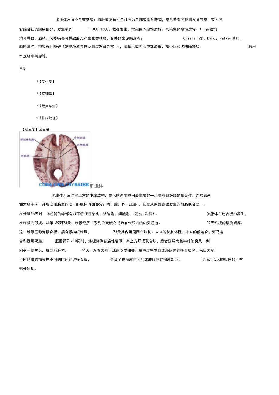 胼胝体发育不全或缺如.docx_第1页