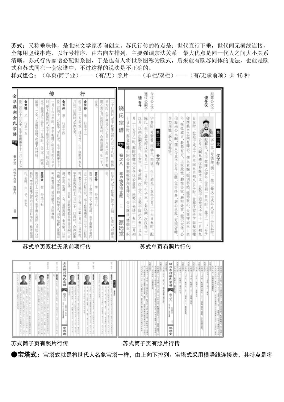 家谱版式体例.docx_第2页