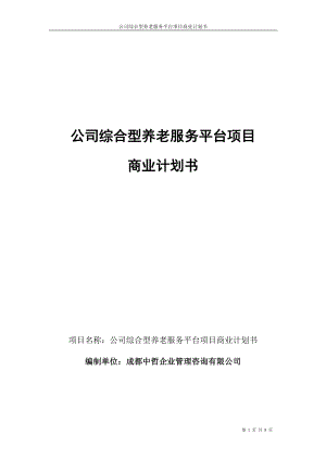 专题讲座资料（2021-2022年）公司综合型养老服务平台项目商业计划书DOC.doc