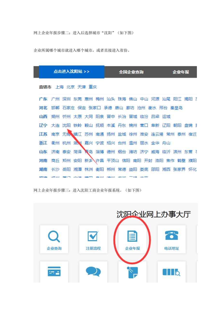 精品资料（2021-2022年收藏的）沈阳红盾网网上工商年检系统操作流程最新版.doc_第2页