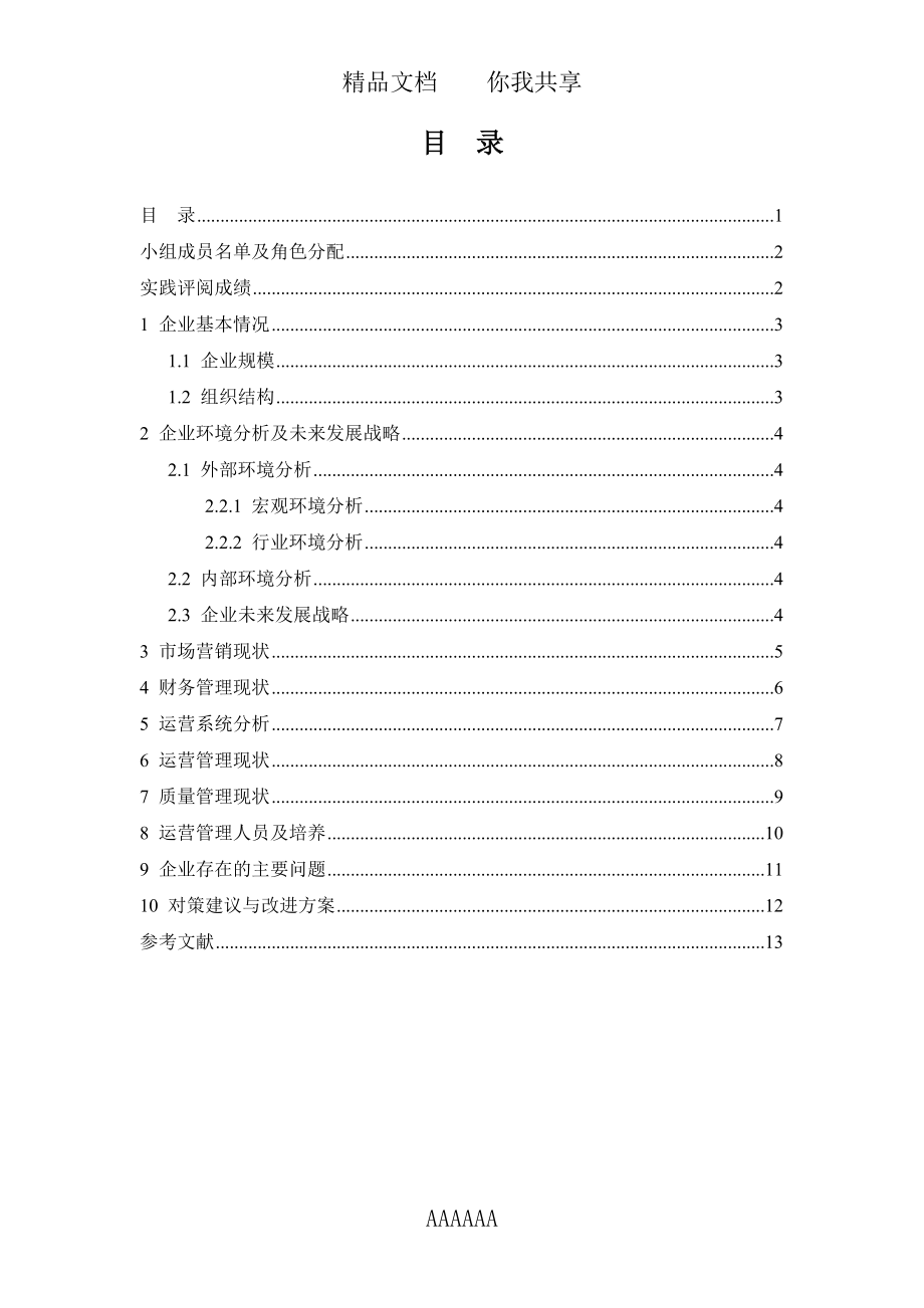 A0公司运营分析报告模板.doc_第2页