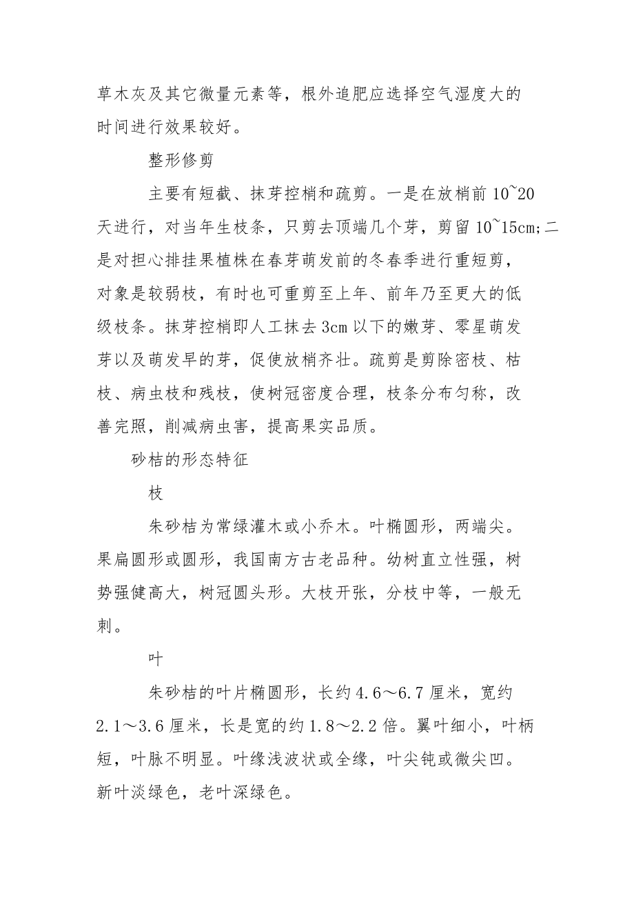 朱砂桔怎么养朱砂桔的养殖方法-盆栽金桔的养殖方法.docx_第3页