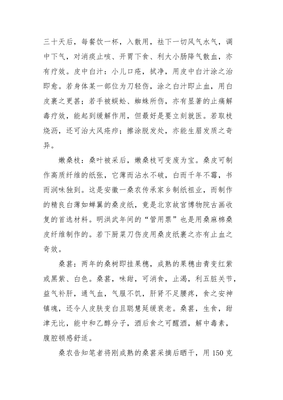 东方神木――桑葚树 桑葚树.docx_第2页