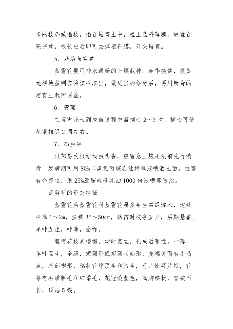 [蓝雪花怎么养蓝雪花的生态习性].docx_第2页