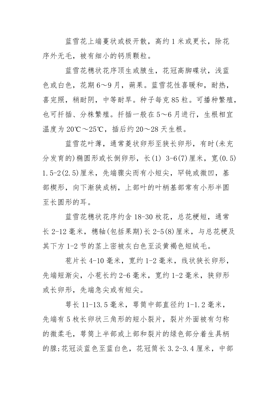 [蓝雪花怎么养蓝雪花的生态习性].docx_第3页