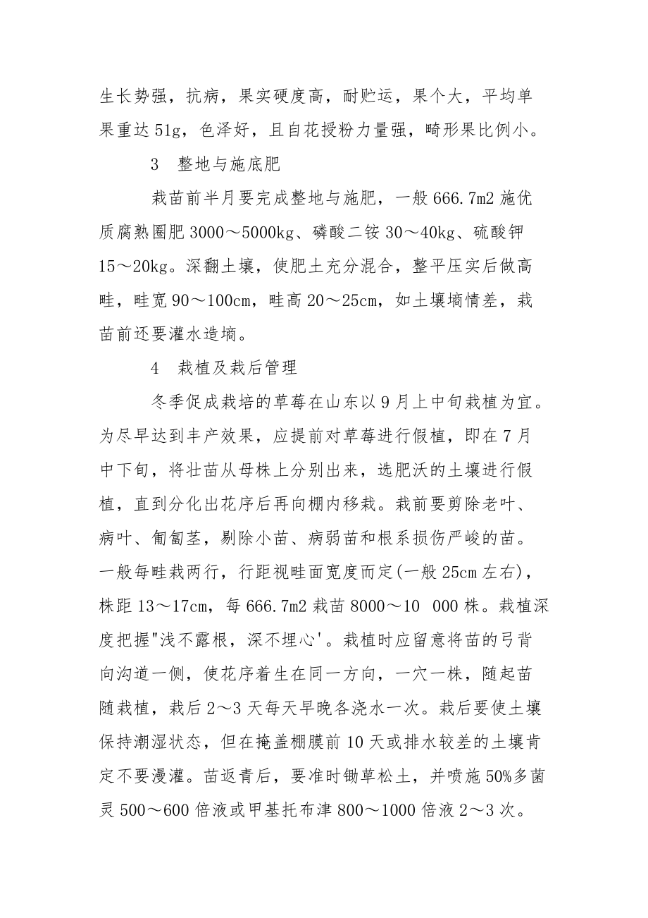 【大棚草莓的种植方法】 大棚种植什么最赚钱.docx_第2页