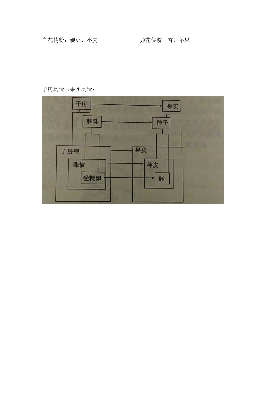 2022年初中生物生殖发育知识点总结.doc_第3页