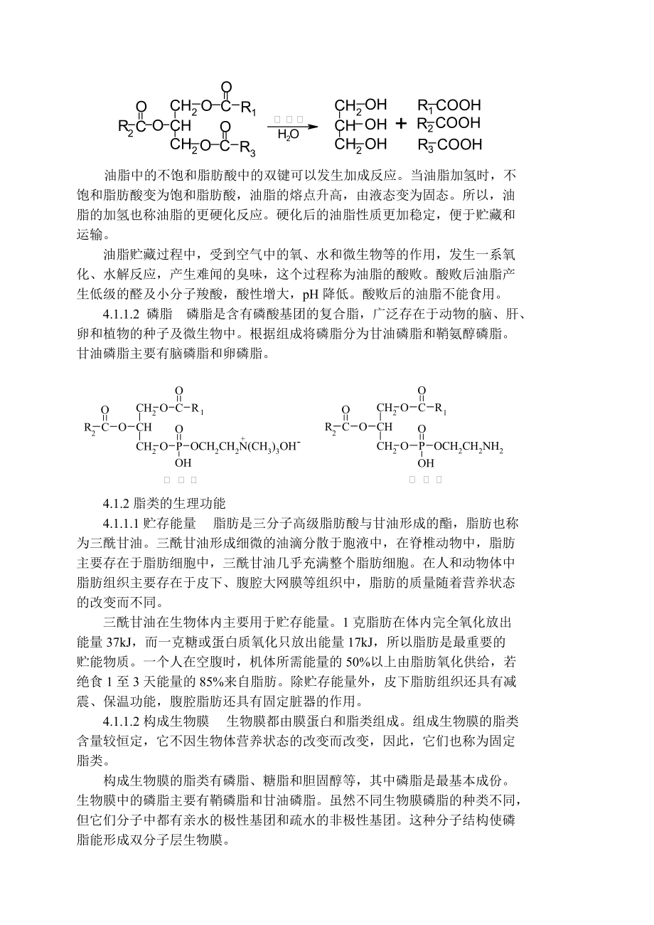 黑龙江生物科技职业学院教案(第.docx_第3页