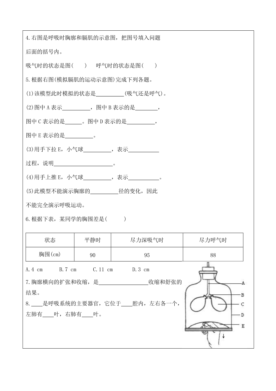 七年级生物下册 4.3.2发生在肺内的气体交换（一）导学案（无答案） 人教新课标版.doc_第3页