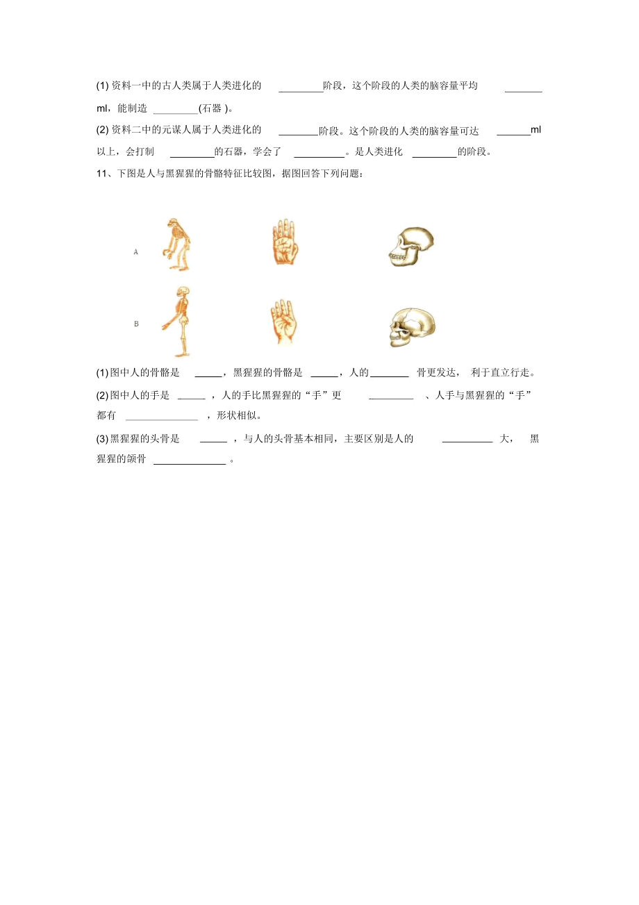 《第四节人类的起源和进化》同步练习1.docx_第2页