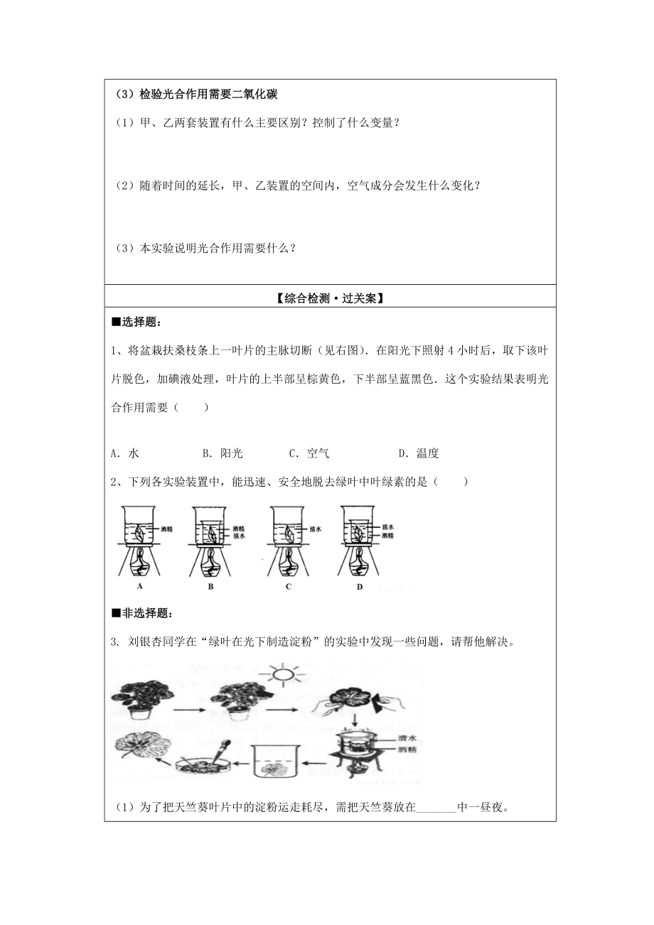 七年级生物上册 第3单元 第5章 绿色开花植物的生活方式 第1节 光合作用导学案（无答案）（新版）北师大版-（新版）北师大版初中七年级上册生物学案.doc_第2页